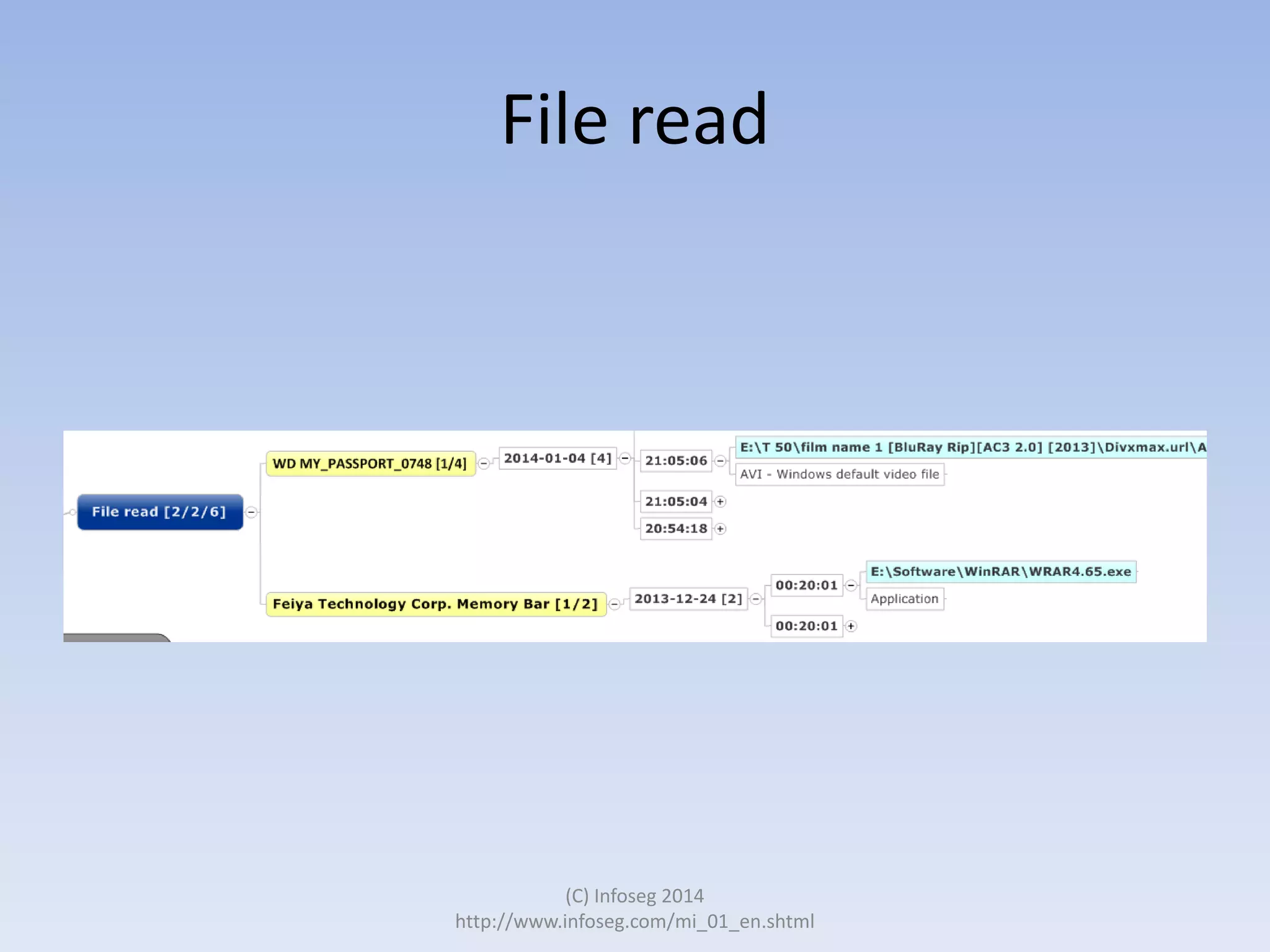 File read

(C) Infoseg 2014
http://www.infoseg.com/mi_01_en.shtml

 