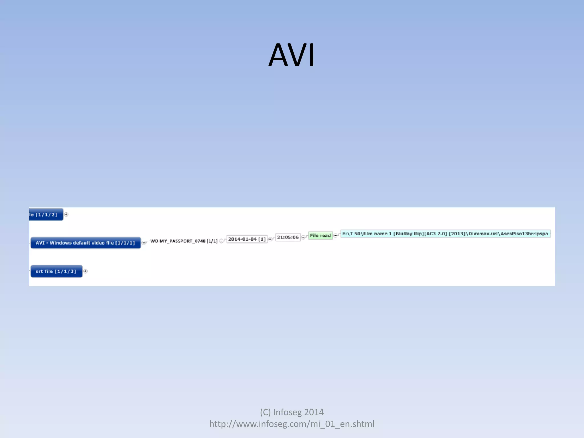 AVI

(C) Infoseg 2014
http://www.infoseg.com/mi_01_en.shtml

 