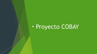 Proyecto COBAY
 