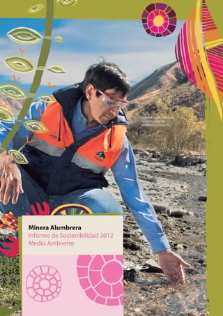 Minera Alumbrera
Informe de Sostenibilidad 2012
Medio Ambiente.
 