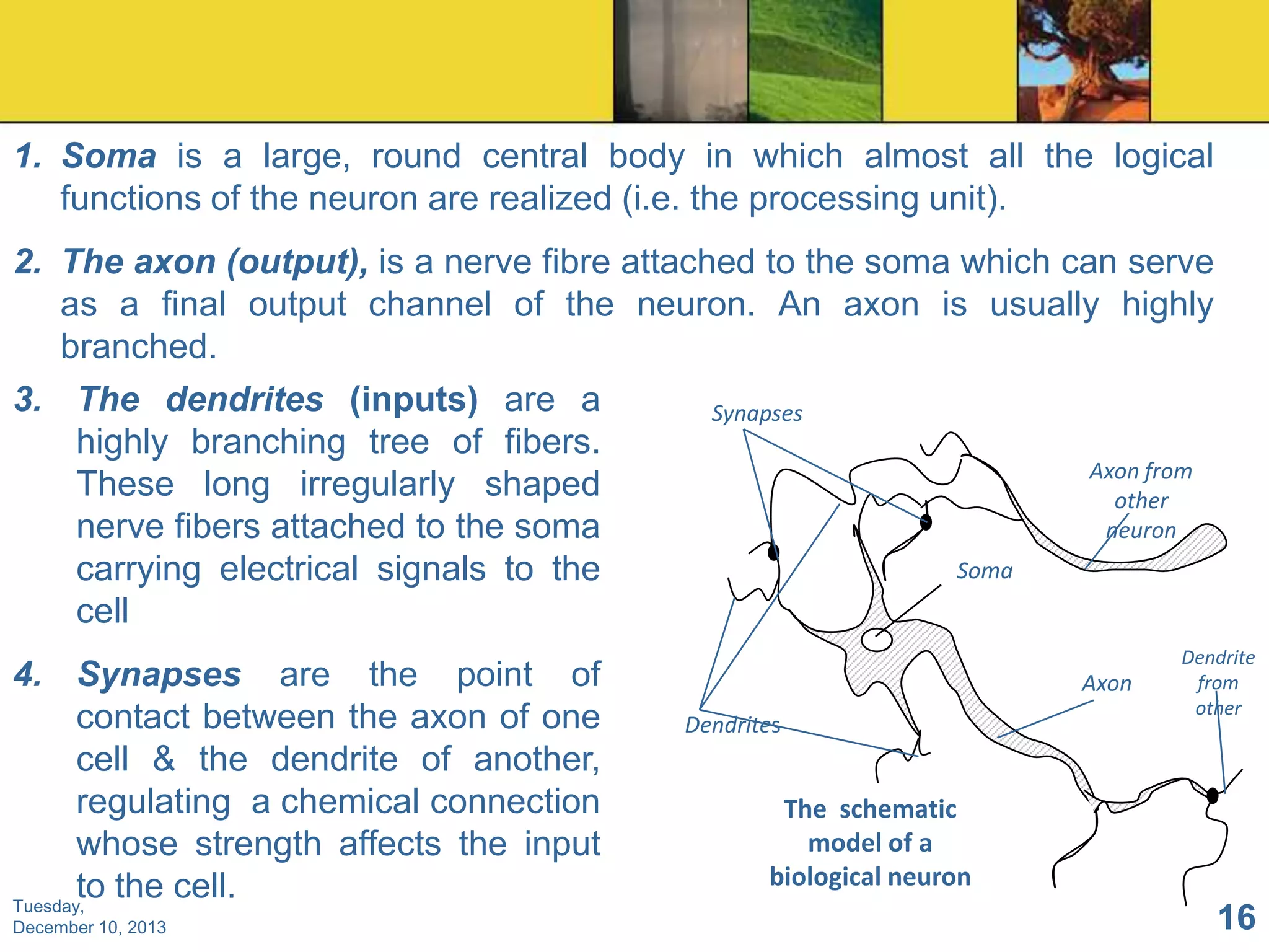 1. Soma is a large, round central body in which almost all the logical
functions of the neuron are realized (i.e. the processing unit).
2. The axon (output), is a nerve fibre attached to the soma which can serve
as a final output channel of the neuron. An axon is usually highly
branched.
3. The dendrites (inputs) are a
Synapses
highly branching tree of fibers.
Axon from
These long irregularly shaped
other
nerve fibers attached to the soma
neuron
Soma
carrying electrical signals to the
cell
4. Synapses are the point of
contact between the axon of one
cell & the dendrite of another,
regulating a chemical connection
whose strength affects the input
to the cell.
Tuesday,
December 10, 2013

Axon
Dendrites

Dendrite
from
other

The schematic
model of a
biological neuron

16

 