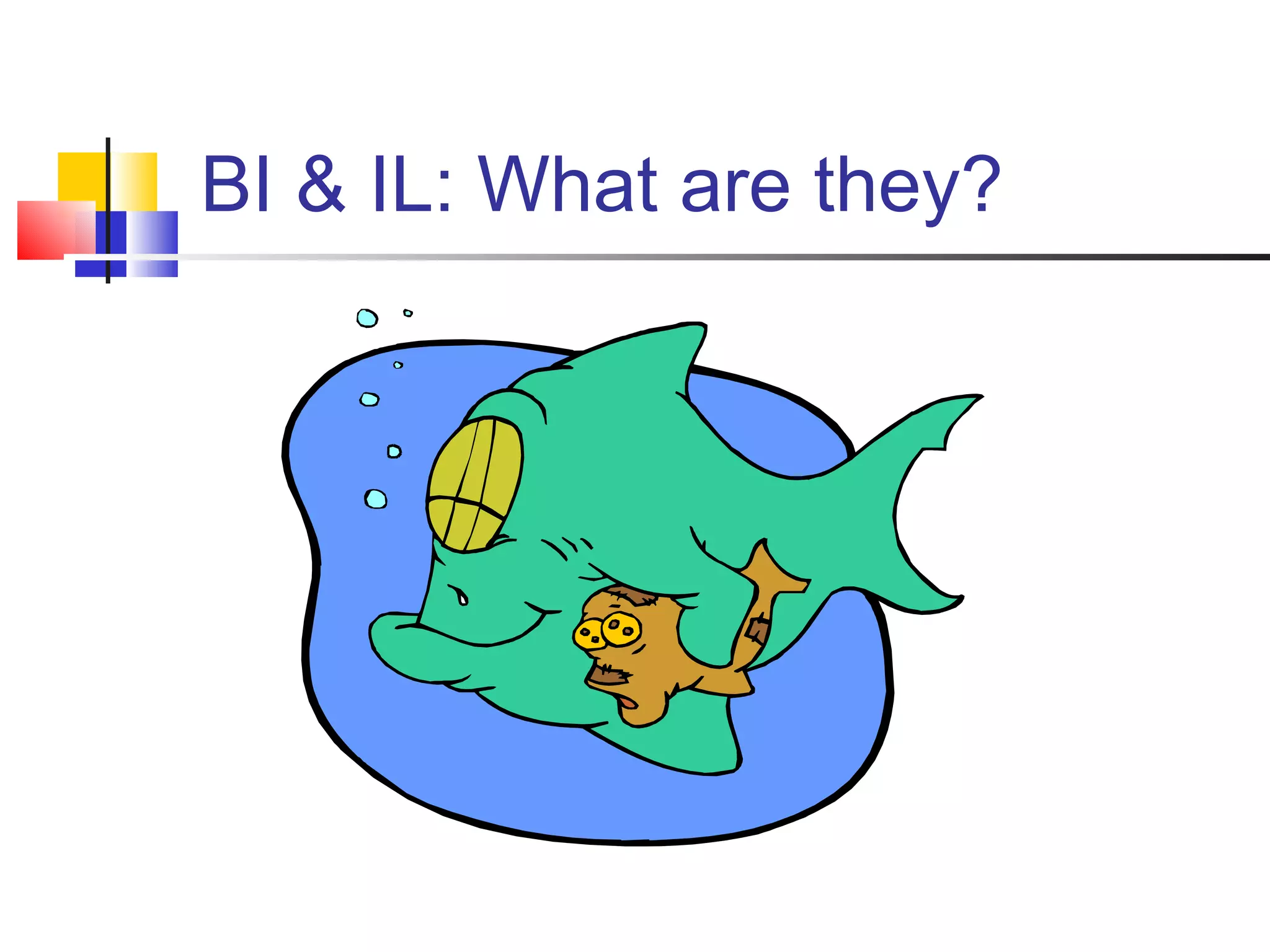 BI & IL: What are they?