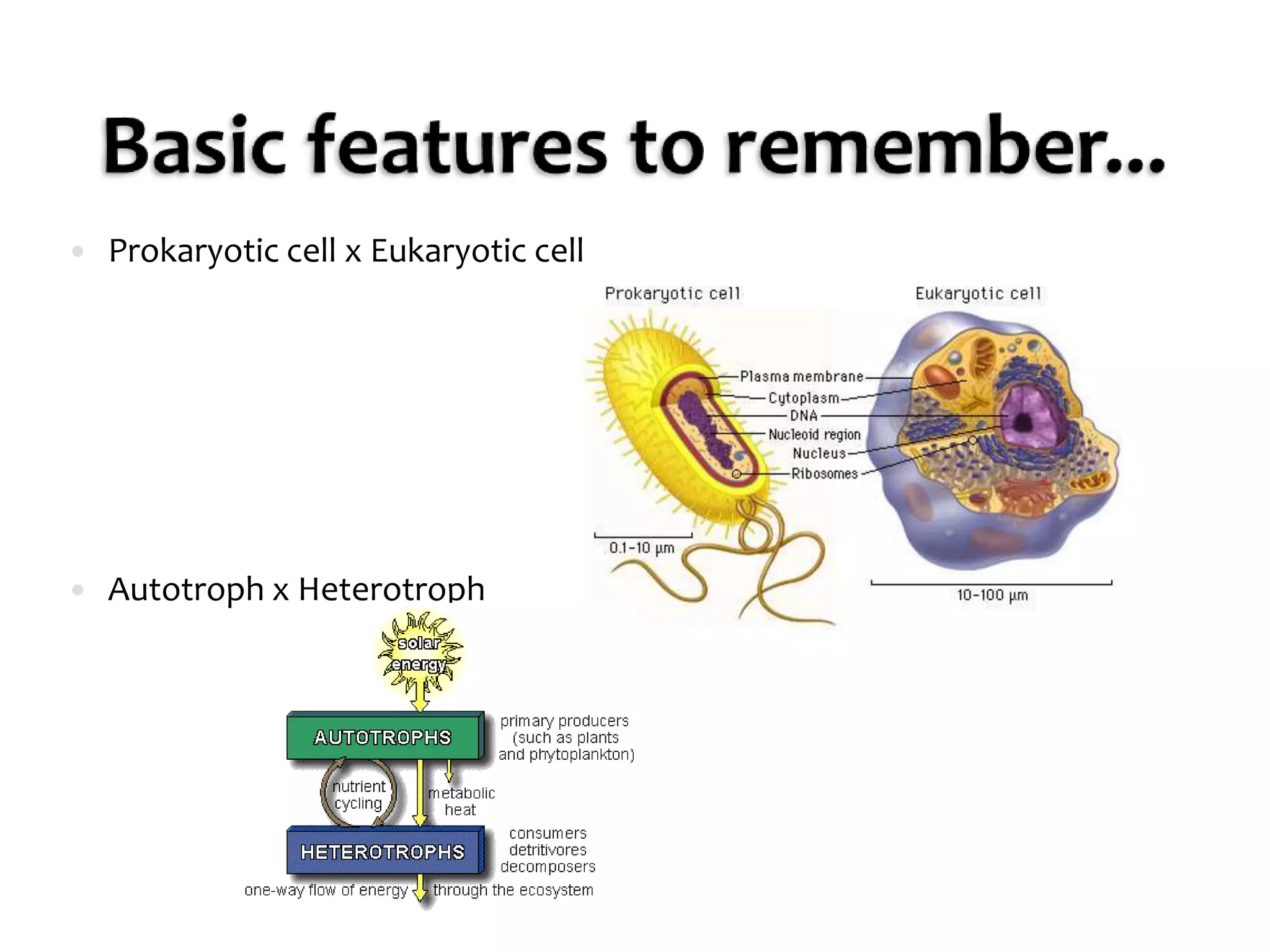 Basic features to remember...Prokaryotic cell x Eukaryotic cellAutotroph x Heterotroph