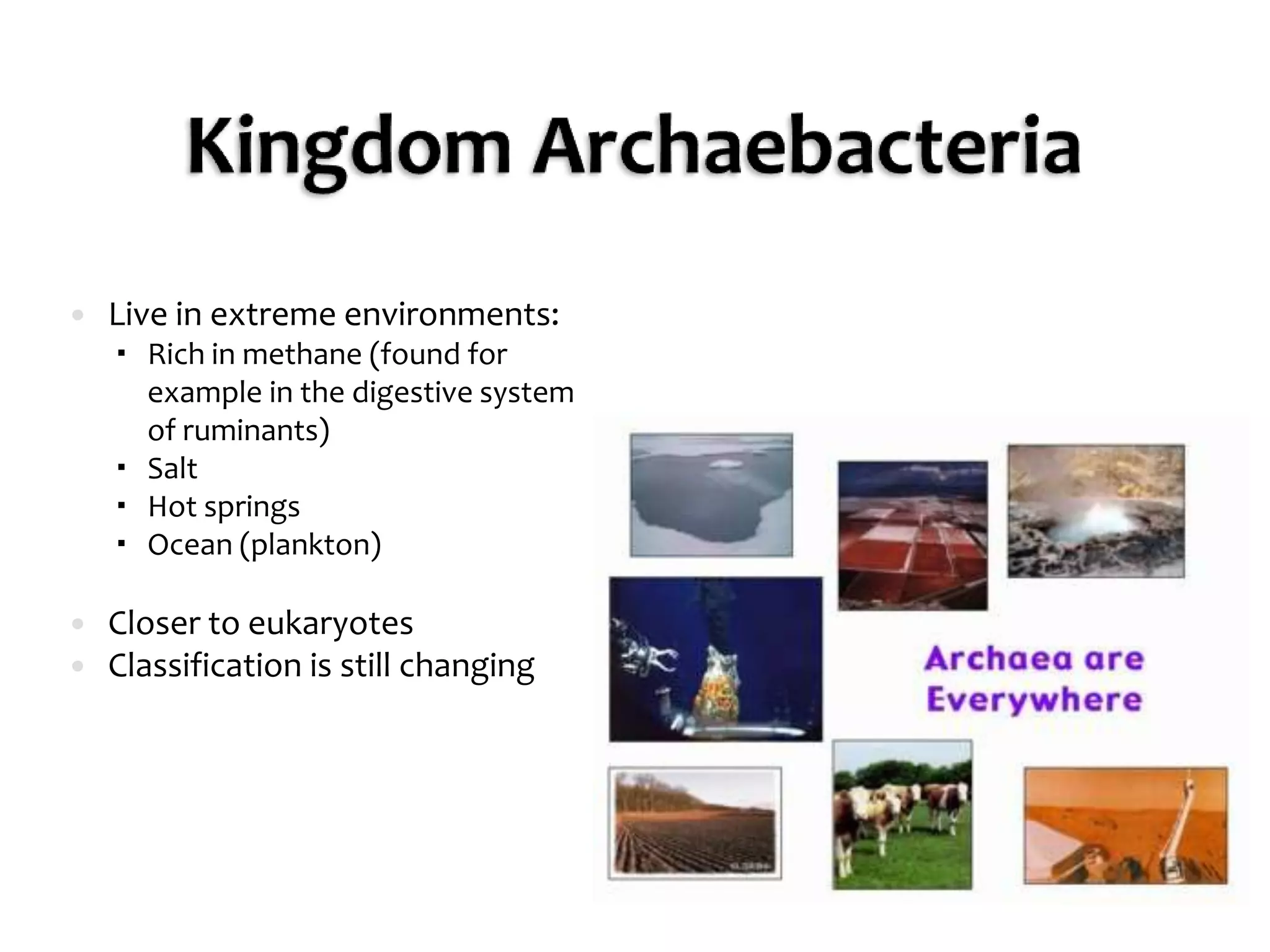 Kingdom ArchaebacteriaLive in extreme environments:Rich in methane (found for example in the digestive system of ruminants)Salt Hot springsOcean (plankton)Closer to eukaryotesClassification is still changing