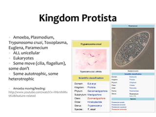 Kingdom ProtistaAmoeba, Plasmodium, Trypanosomacruzi, Toxoplasma, Euglena, ParameciumALL unicellularEukaryotesSome move (cilia, flagellum), some don’tSome autotrophic, some heterotrophicAmoeba moving/feeding: http://www.youtube.com/watch?v=W6rnhiMxtKU&feature=related
