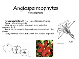 Marsupials = pouch (where baby finishes its development)