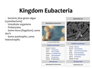 Kingdom Eubacteriabacteria, blue-green algae (cyanobacteria)Unicellular organismsProkaryotesSome move (flagellum), some don’tSome autotrophic, some heterotrophic