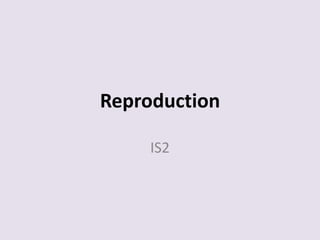 Reproduction
IS2
 
