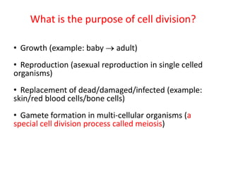 What is the purpose of cell division?Growth (example: baby  adult)Reproduction (asexual reproduction in single celled organisms)Replacement of dead/damaged/infected (example: skin/red blood cells/bone cells)Gamete formation in multi-cellular organisms (a special cell division process called meiosis)