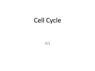 Cell Cycle IS3 