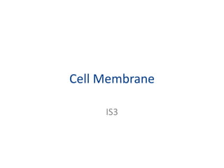 Cell Membrane IS3 