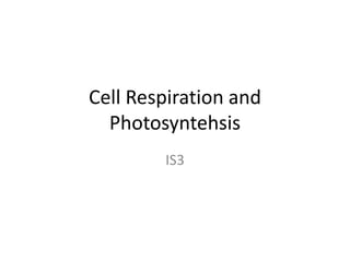 Cell Respiration and Photosyntehsis IS3 