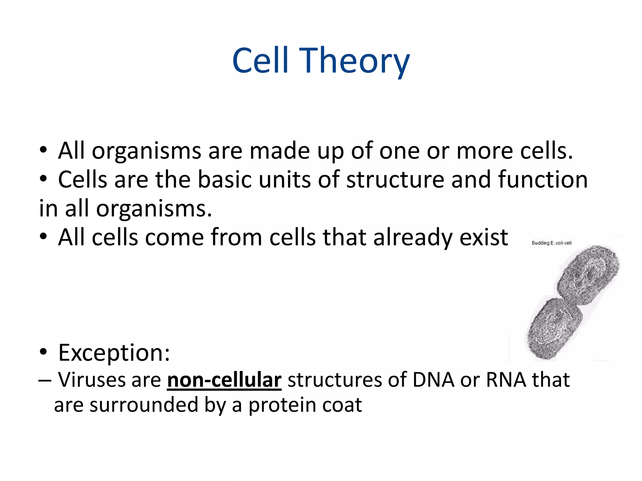 Cell TheoryAll organisms are made up of one or more cells.Cells are the basic units of structure and function in all organisms.All cells come from cells that already exist.Exception:Viruses are non-cellular structures of DNA or RNA that are surrounded by a protein coat