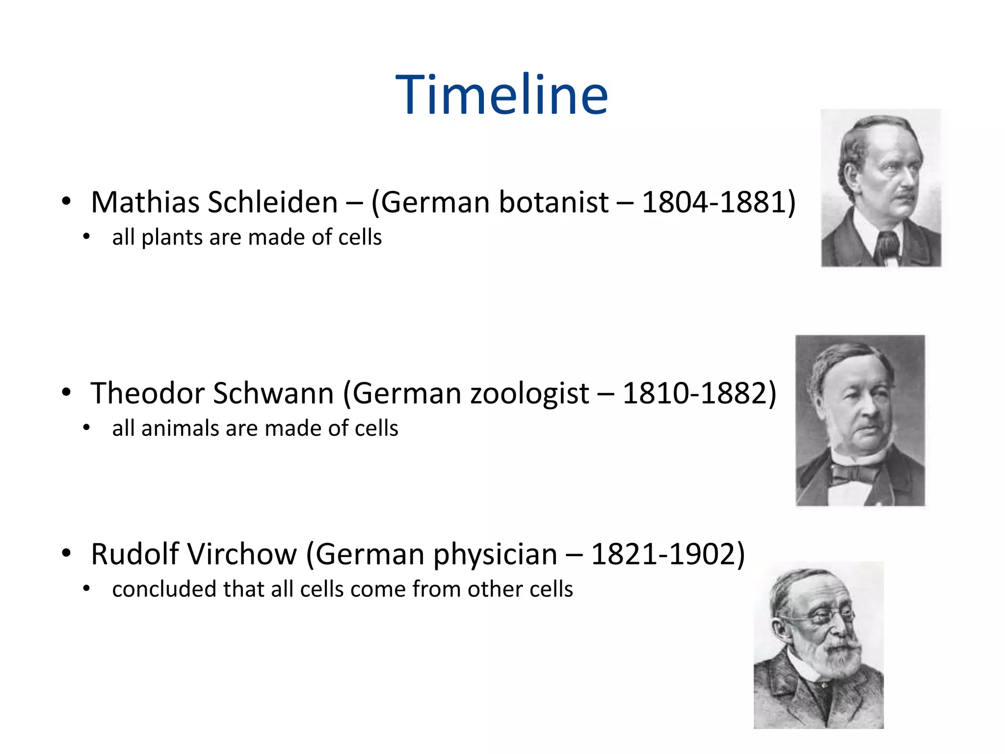 TimelineMathias Schleiden – (German botanist – 1804-1881) all plants are made of cellsTheodor Schwann (German zoologist – 1810-1882) all animals are made of cellsRudolf Virchow (German physician – 1821-1902)concluded that all cells come from other cells