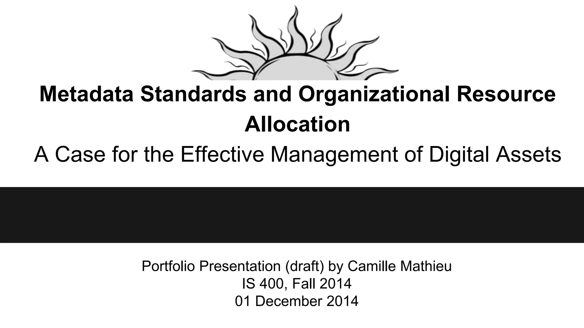 Metadata Standards and Organizational Resource Allocation A Case for