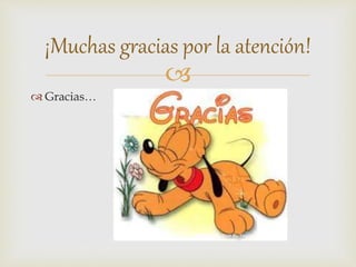 
 Gracias…
¡Muchas gracias por la atención!
 