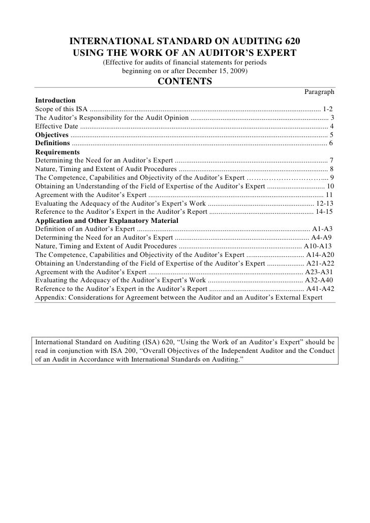 Audit consultant essay 06 picture