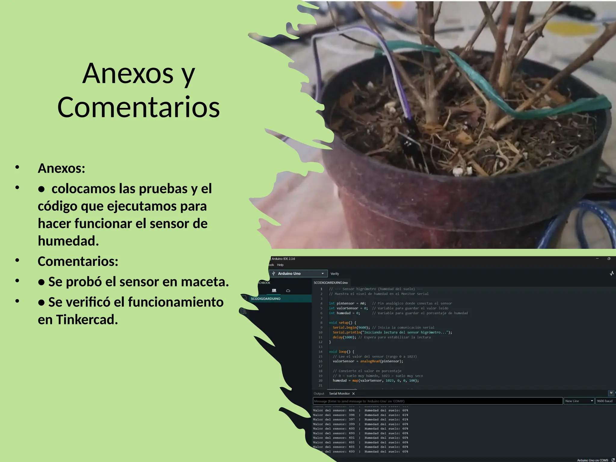 Anexos y
Comentarios
• Anexos:
• • colocamos las pruebas y el
código que ejecutamos para
hacer funcionar el sensor de
humedad.
• Comentarios:
• • Se probó el sensor en maceta.
• • Se verificó el funcionamiento
en Tinkercad.
 