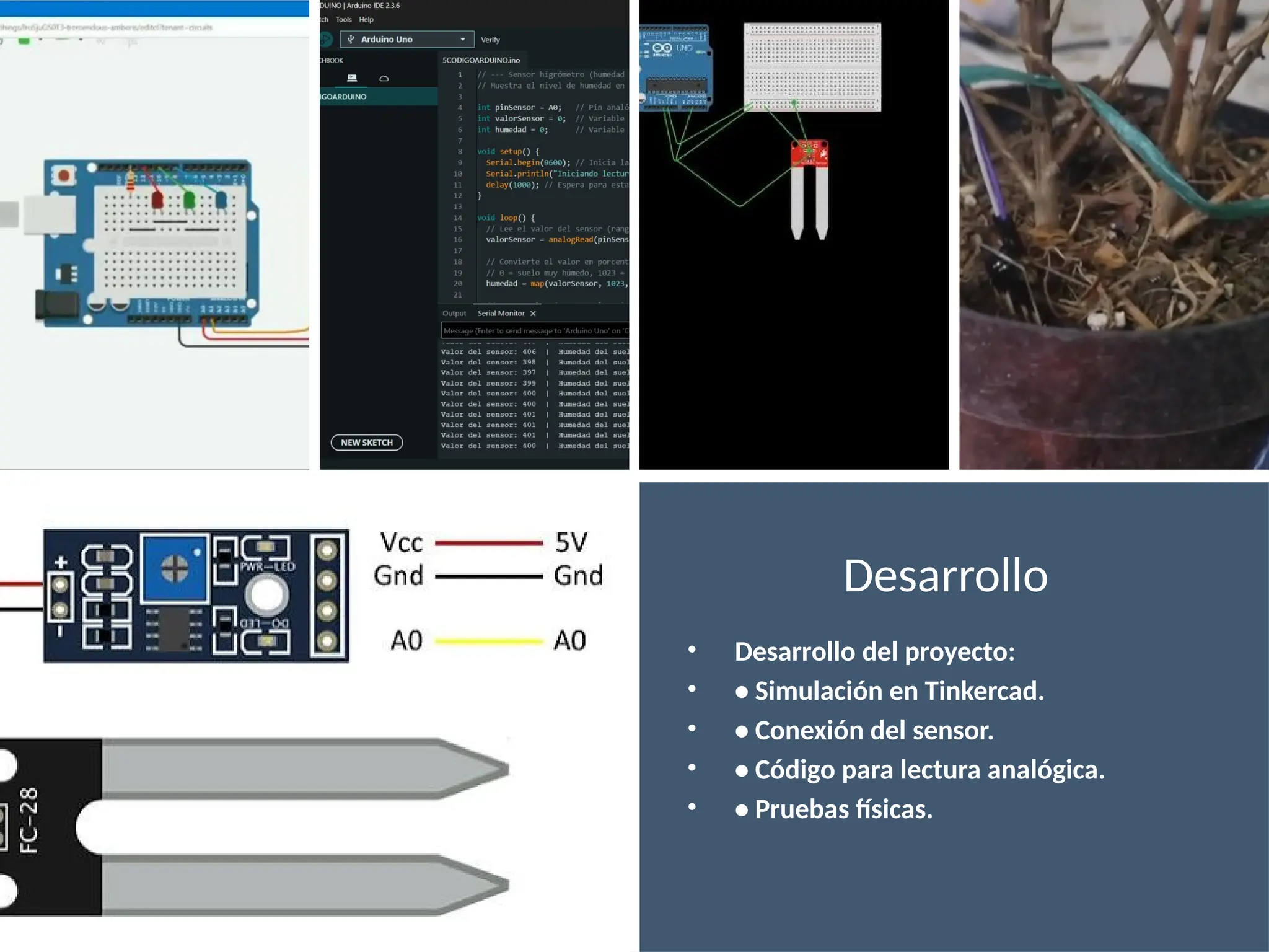 Desarrollo
• Desarrollo del proyecto:
• • Simulación en Tinkercad.
• • Conexión del sensor.
• • Código para lectura analógica.
• • Pruebas físicas.
 