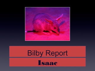 Bilby ReportBilby Report
IsaacIsaac
 