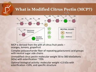 What is Modified Citrus Pectin (MCP?)




•   MCP is derived from the pith of citrus fruit peels –
    oranges, lemons, grapefruit
•   Complex polysaccharide fiber of repeating galacturonic acid groups
    with neutral sugar side chains
•   Unmodified citrus pectin molecular weight 50 to 300 kiloDaltons
    (kDa) with esterification ~70%
•   Optimal biological activity: molecular weight <13 kDa with
    esterification <10%, and specific structure
 