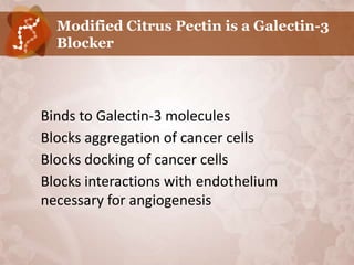 Modified Citrus Pectin is a Galectin-3
      Blocker




•   Binds to Galectin-3 molecules
•   Blocks aggregation of cancer cells
•   Blocks docking of cancer cells
•   Blocks interactions with endothelium
    necessary for angiogenesis
 