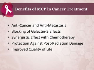 Benefits of MCP in Cancer Treatment



•   Anti-Cancer and Anti-Metastasis
•   Blocking of Galectin-3 Effects
•   Synergistic Effect with Chemotherapy
•   Protection Against Post-Radiation Damage
•   Improved Quality of Life
 