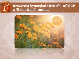 Research: Synergistic Benefits of MCP
w/Botanical Formulas
 
