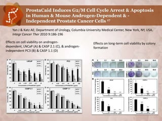 ProstaCaid Induces G2/M Cell Cycle Arrest & Apoptosis
             in Human & Mouse Androgen-Dependent & -
             Independent Prostate Cancer Cells 17
    Yan J & Katz AE; Department of Urology, Columbia University Medical Center, New York, NY, USA.
    Integr Cancer Ther 2010 9:186-196

Effects on cell viability on androgen-                    Effects on long-term cell viability by colony
dependent, LNCaP (A) & CASP 2.1 (C), & androgen-          formation
independent PC3 (B) & CASP 1.1 (D)
 