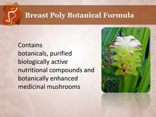 Breast Poly Botanical Formula



Contains
botanicals, purified
biologically active
nutritional compounds and
botanically enhanced
medicinal mushrooms
 