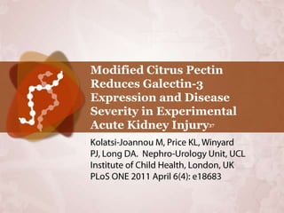 Modified Citrus Pectin
Reduces Galectin-3
Expression and Disease
Severity in Experimental
Acute Kidney Injury37
 