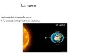 Las mareas
*newton descubrió la causa de las mareas.
• La causa es la fuerza gravitatoria del sol y la luna.
 