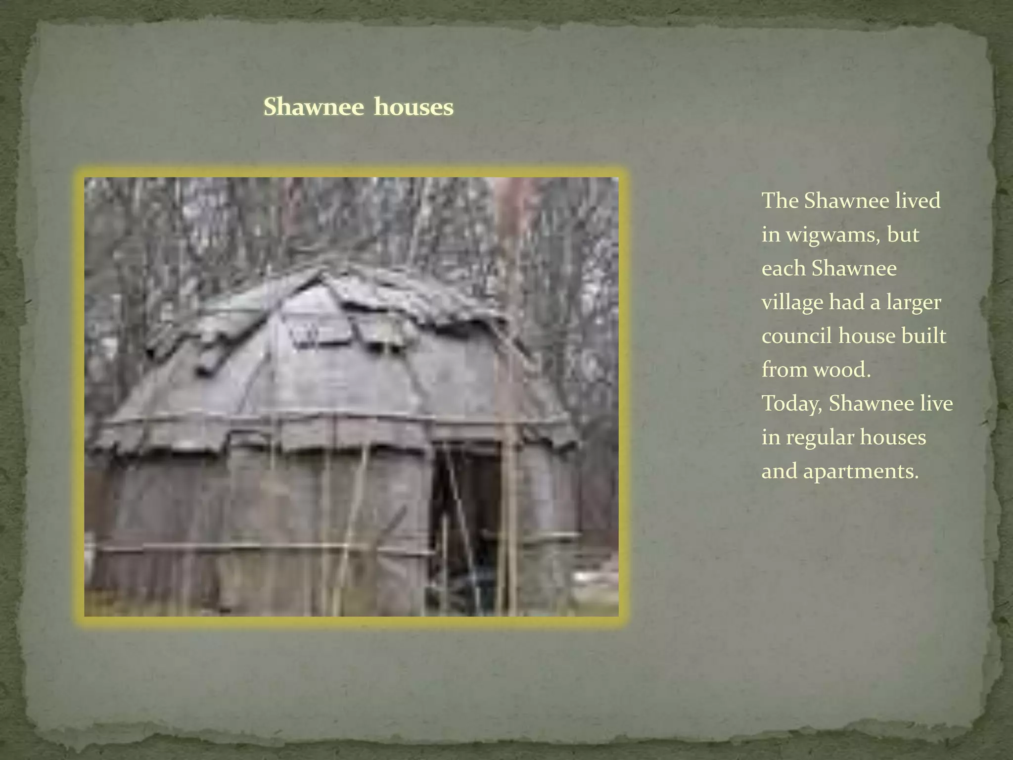 Shawnee  housesThe Shawnee lived in wigwams, but each Shawnee village had a larger council house built from wood. Today, Shawnee live in regular houses and apartments. 
