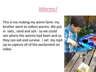 Worms!
This is me making my worm farm: my
brother went to collect worms. We put
in oats , sand and soil - so we could
see where the worms had been and so
they can eat and survive. I set my mp3
up to capture all of the excitement on
video.
 