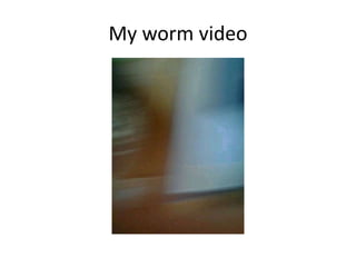 My worm video
 