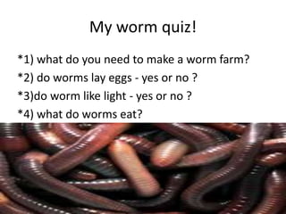 My worm quiz!
*1) what do you need to make a worm farm?
*2) do worms lay eggs - yes or no ?
*3)do worm like light - yes or no ?
*4) what do worms eat?
 