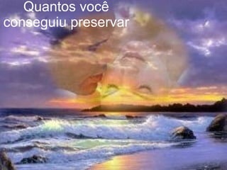 Quantos você conseguiu preservar   