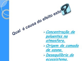  Concentração   de
  poluentes na
  atmosfera.
 Origem da camada
  de ozono.
 Desequilíbrio do
  ecossistema.
 