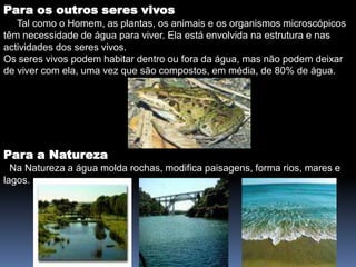 Para os outros seres vivos     Tal como o Homem, as plantas, os animais e os organismos microscópicos têm necessidade de água para viver. Ela está envolvida na estrutura e nas actividades dos seres vivos.Os seres vivos podem habitar dentro ou fora da água, mas não podem deixar de viver com ela, uma vez que são compostos, em média, de 80% de água.Para a NaturezaNa Natureza a água molda rochas, modifica paisagens, forma rios, mares e lagos.