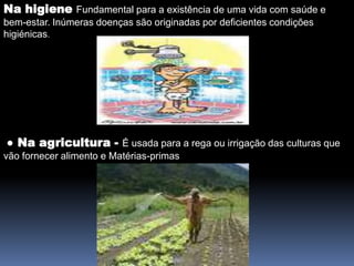 Na higieneFundamental para a existência de uma vida com saúde e bem-estar. Inúmeras doenças são originadas por deficientes condições higiénicas.  ● Na agricultura -É usada para a rega ou irrigação das culturas que vão fornecer alimento e Matérias-primas 
