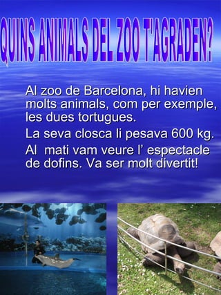Al zoo de Barcelona, hi havien molts animals, com per exemple, les dues tortugues. La seva closca li pesava 600 kg. Al  mati vam veure l’ espectacle de dofins. Va ser molt divertit! QUINS ANIMALS DEL ZOO T'AGRADEN? 