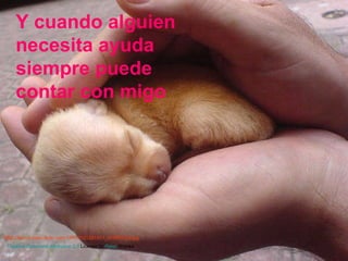 Y cuando alguien necesita ayuda siempre puede contar con migo   http:// farm2.static.flickr.com/1397/1021281411_d70ff94323.jpg Creative   Commons   Attribution  2.5  License  by  Peter   Shanks   