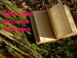 Estas han sido mis 10 frases http://farm4.static.flickr.com/3531/3468091397_bb1d49b543.jpg http://creativecommons.org/licenses/by/2.5/ 