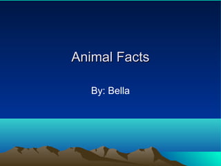 Animal Facts

   By: Bella
 