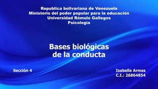 Republica bolivariana de Venezuela
Ministerio del poder popular para la educación
Universidad Rómulo Gallegos
Psicología
Bases biológicas
de la conducta
Sección 4 Isabella Armas
C.I.: 26864854
 