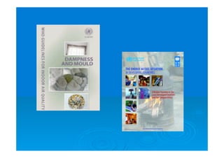 Isabel Lança - OE 21 Out 2010 Guarda