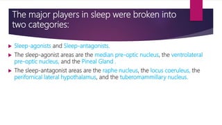 Isabella thoburn college neural mechanism of sleep | PPT