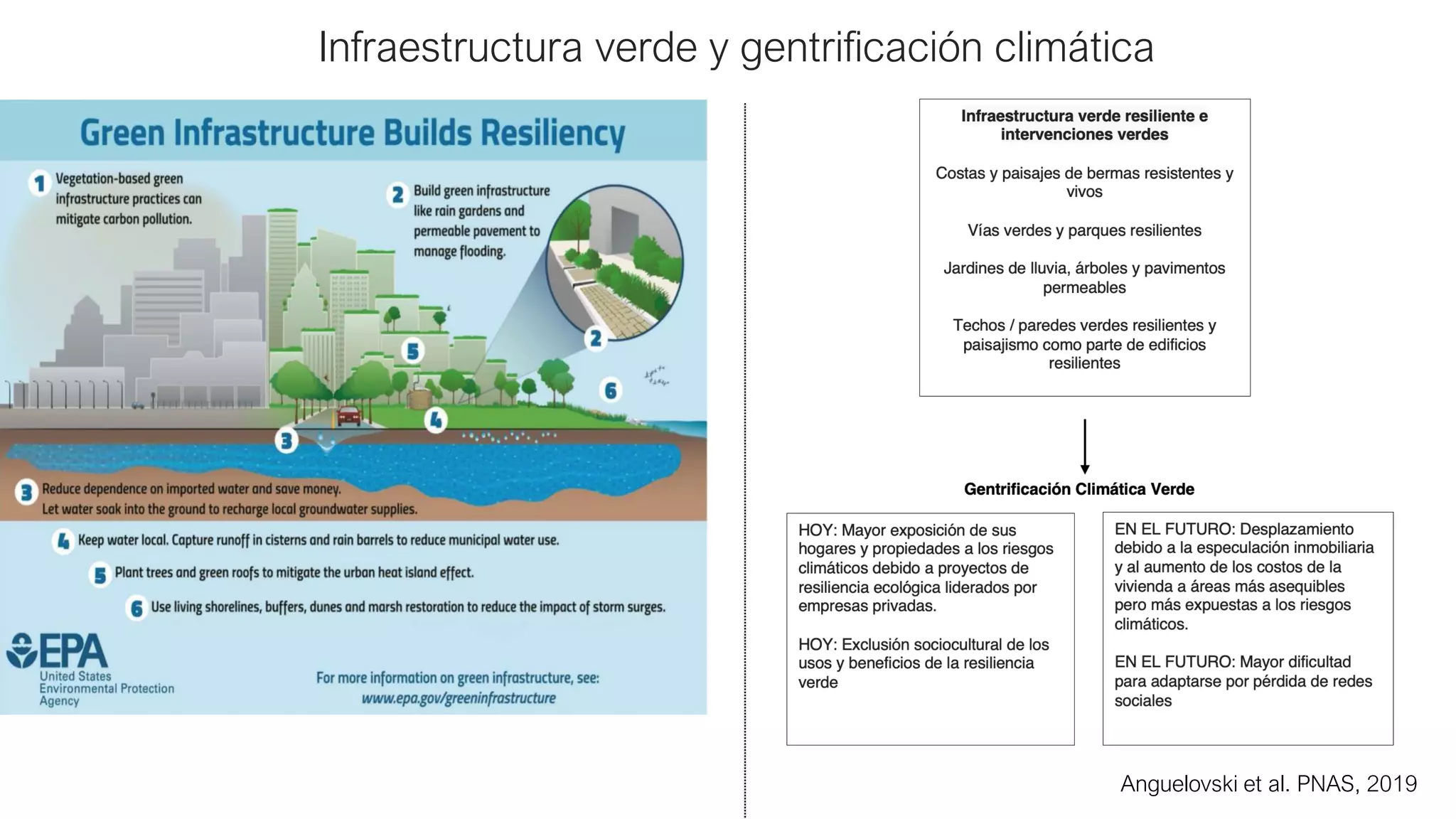 Anguelovski et al. PNAS, 2019
Infraestructura verde y gentrificación climática
 