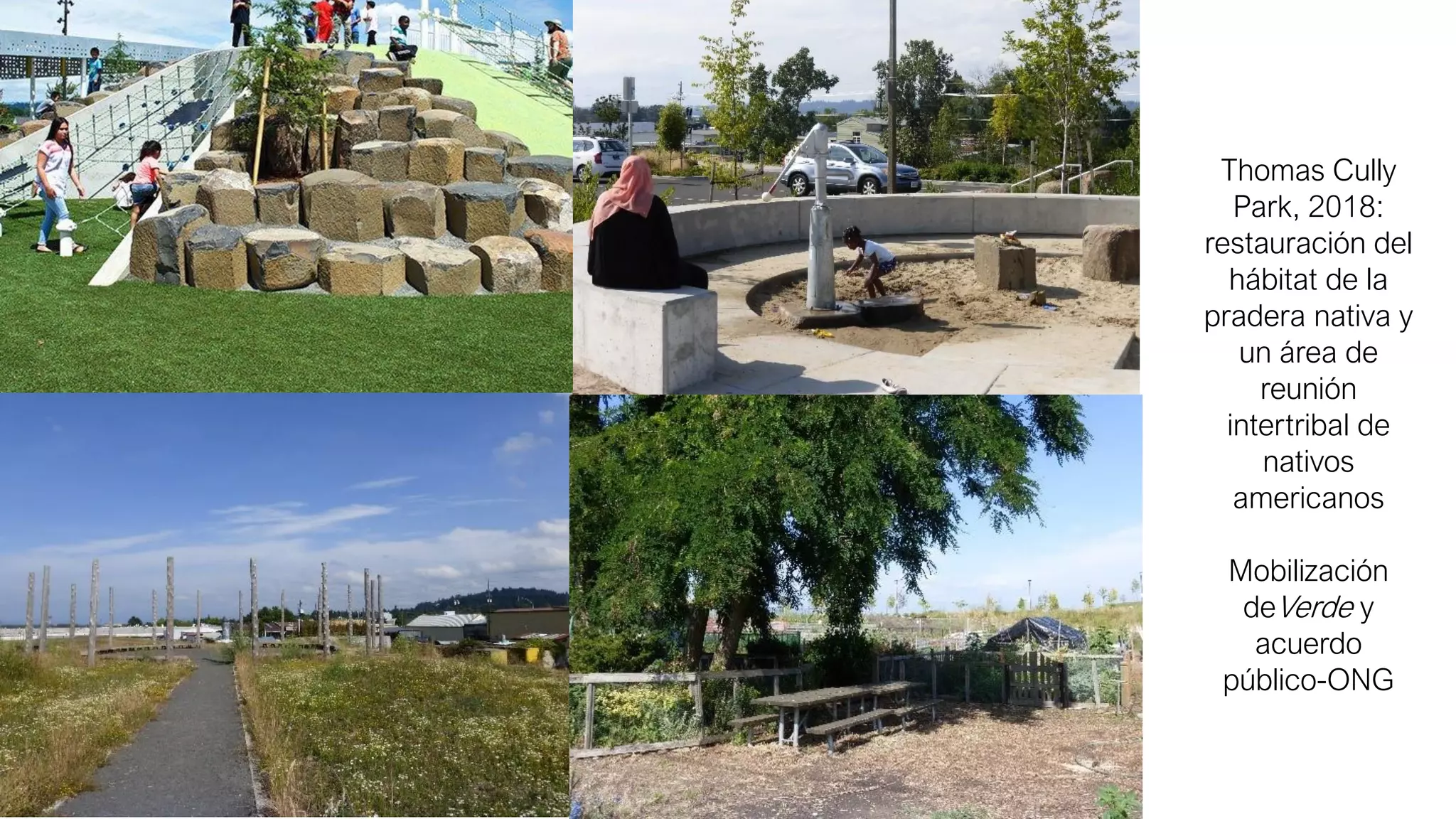 Thomas Cully
Park, 2018:
restauración del
hábitat de la
pradera nativa y
un área de
reunión
intertribal de
nativos
americanos
Mobilización
deVerde y
acuerdo
público-ONG
 