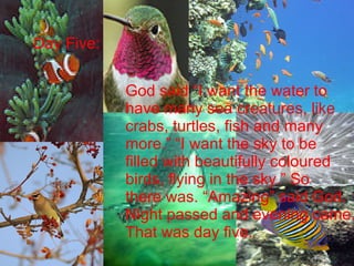 Day Five: God said “I want the water to  have many sea creatures, like crabs, turtles, fish and many  more.” “I want the sky to be  filled with beautifully coloured  birds, flying in the sky.” So  there was. “Amazing” said God. Night passed and evening came. That was day five. 